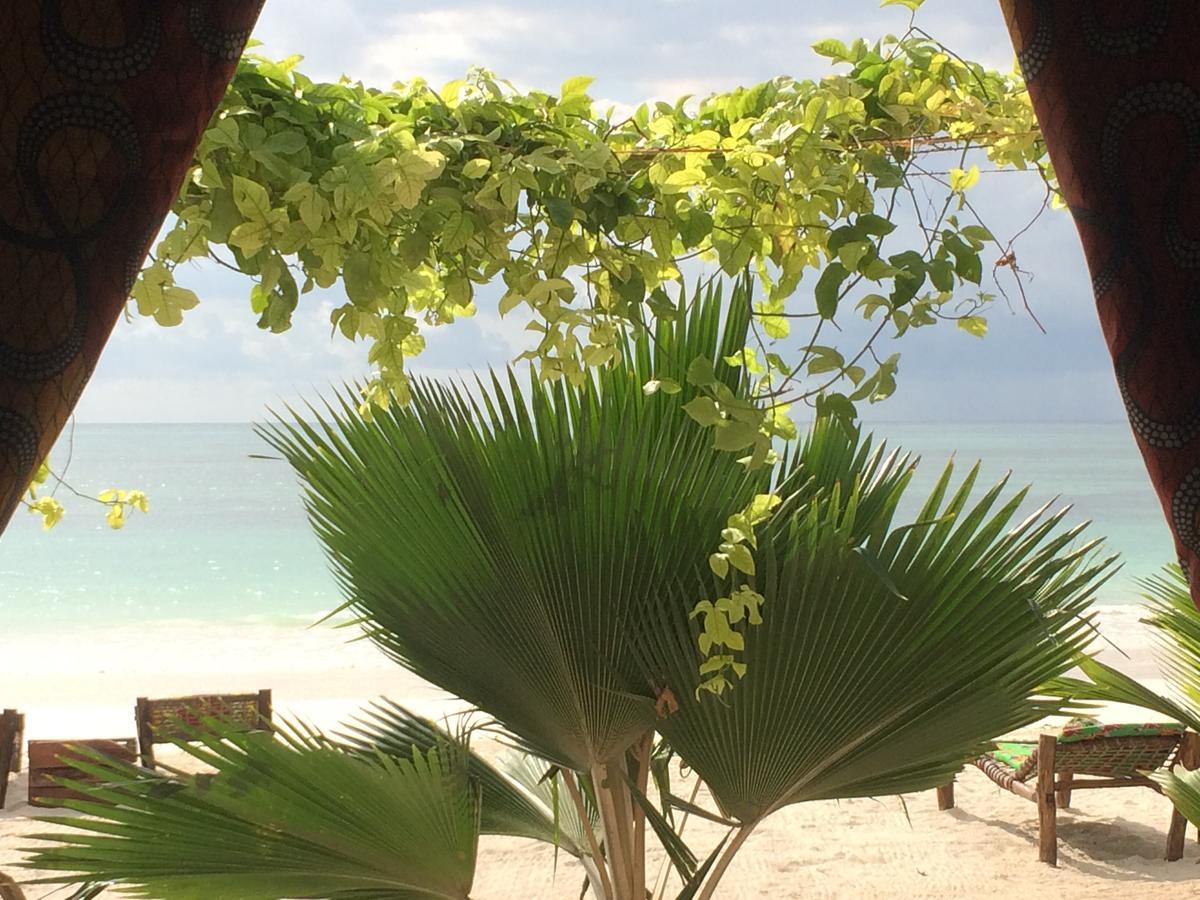 Simba Beach Zanzibar Kiwengwa  Exterior photo
